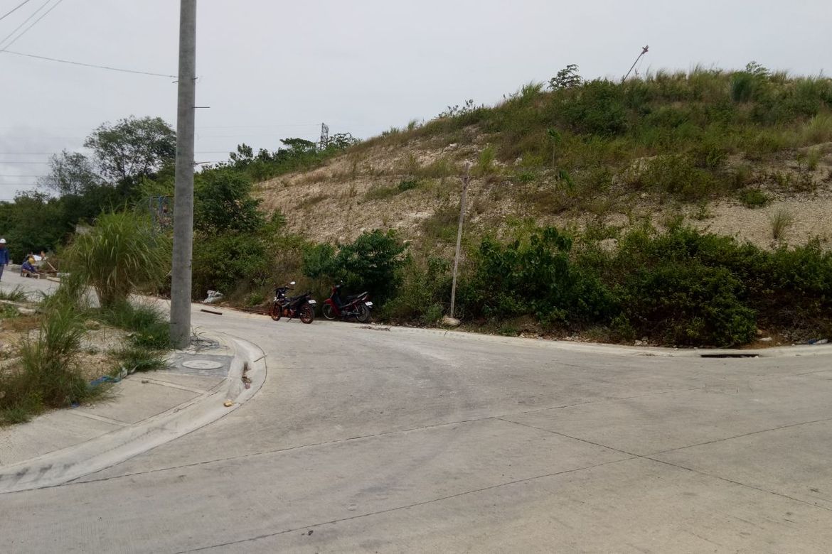 Land for Sale in Tamiao, Compostela, Cebu – photo 2