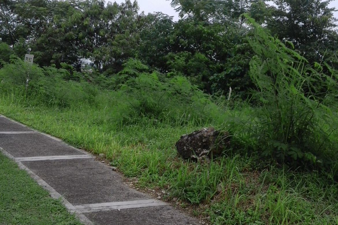 Land for Sale in Tamiao, Compostela, Cebu – photo 4