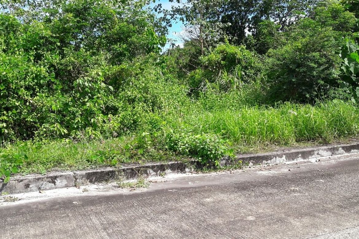 Land for Sale in Tamiao, Compostela, Cebu