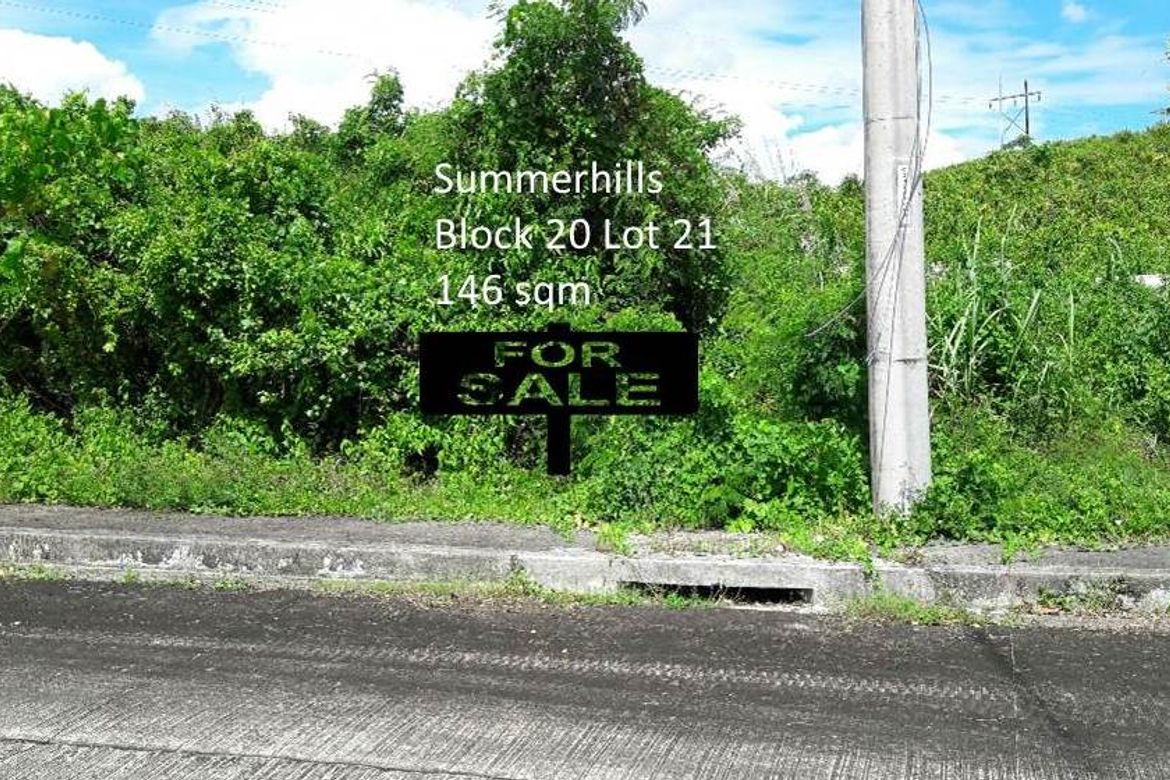 Land for Sale in Tamiao, Compostela, Cebu – photo 2