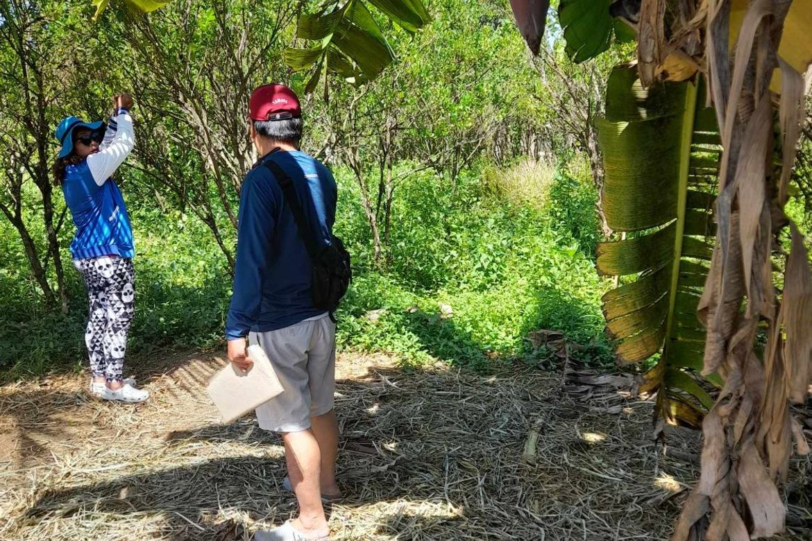 Land for Sale in Tamiao, Compostela, Cebu