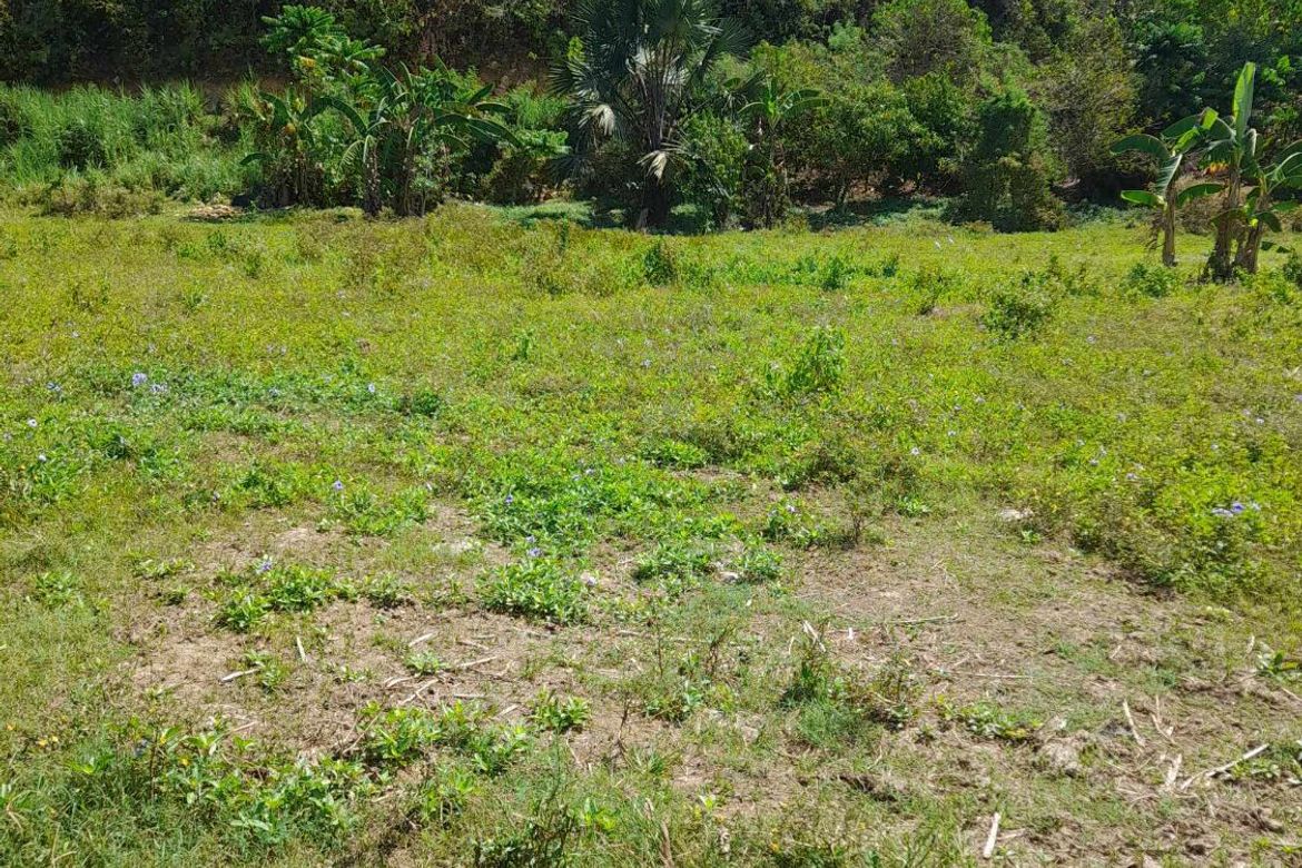 Land for Sale in Tamiao, Compostela, Cebu – photo 3