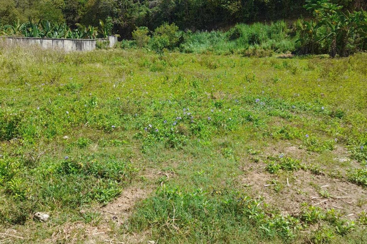 Land for Sale in Tamiao, Compostela, Cebu – photo 4
