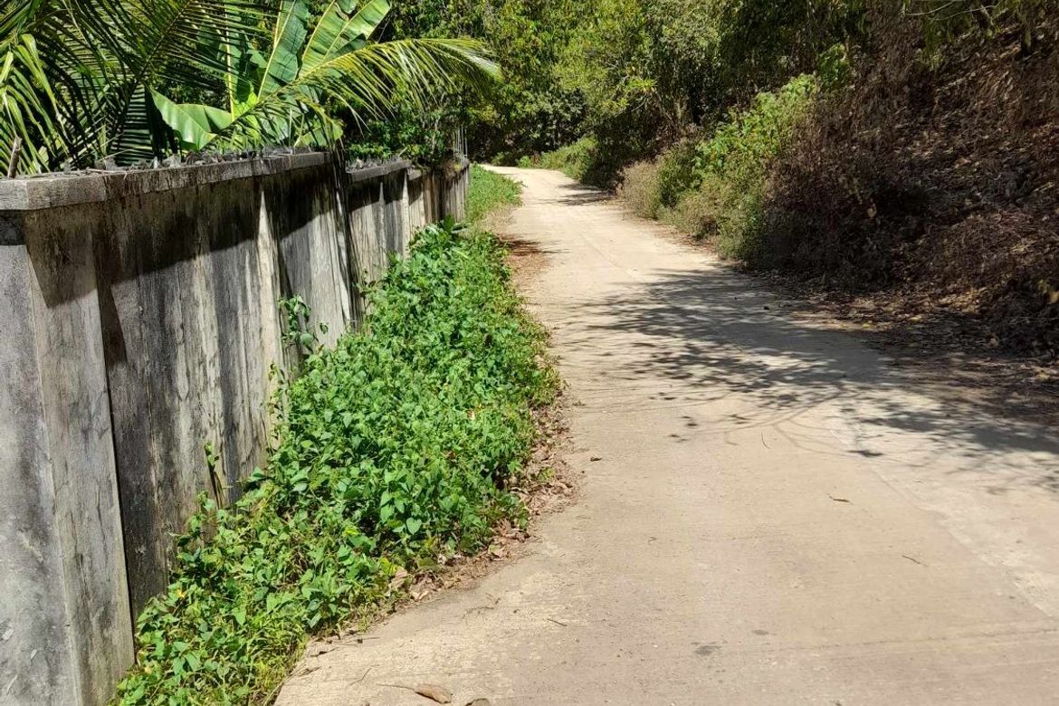Land for Sale in Tamiao, Compostela, Cebu – photo 6