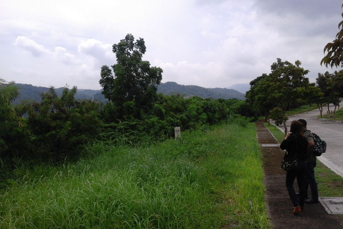 Land for Sale in Tamiao, Compostela, Cebu – photo 4