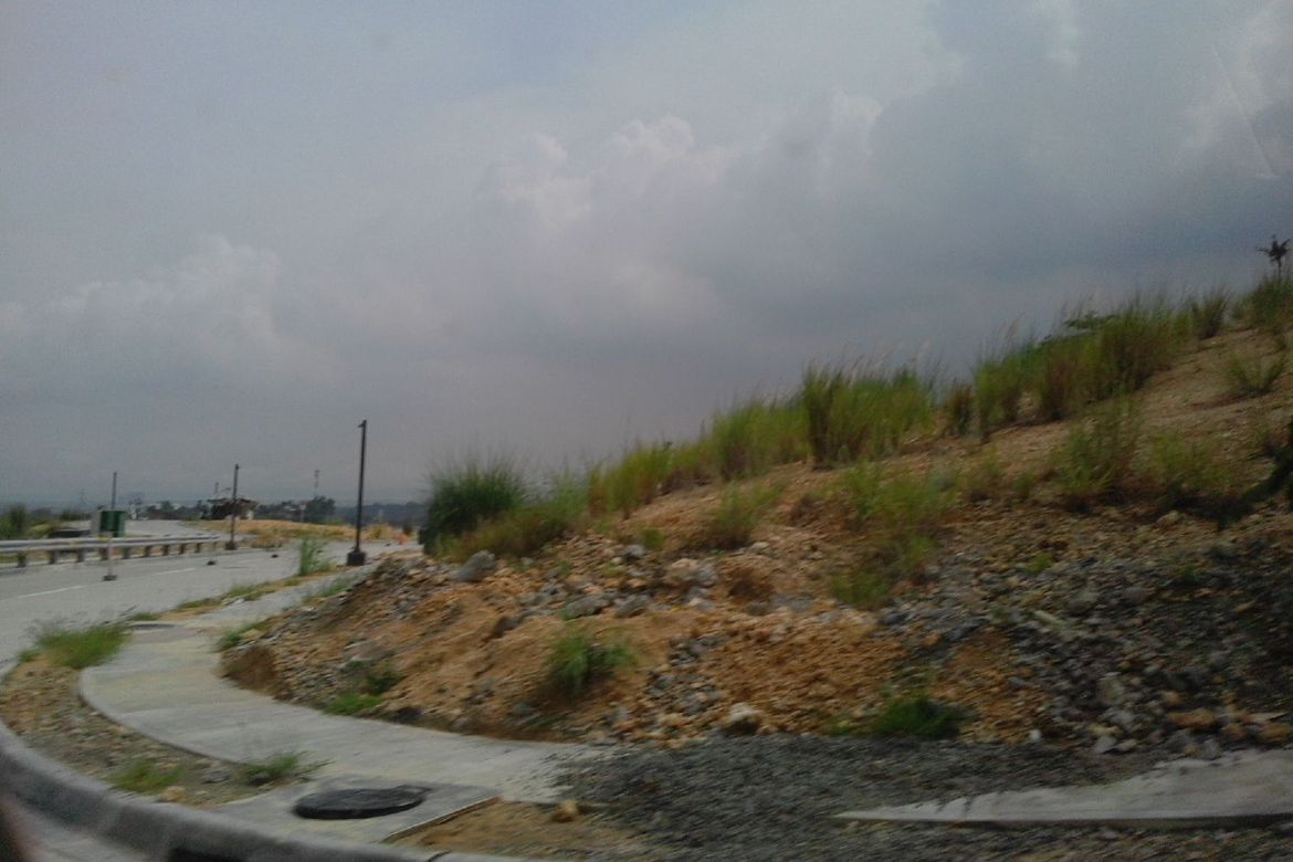 Land for Sale in Tamiao, Compostela, Cebu – photo 6