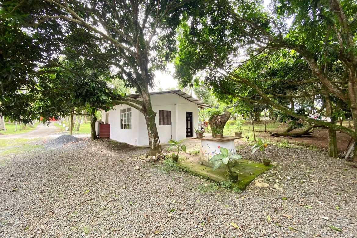 Land for Sale in Tamiao, Compostela, Cebu – photo 8