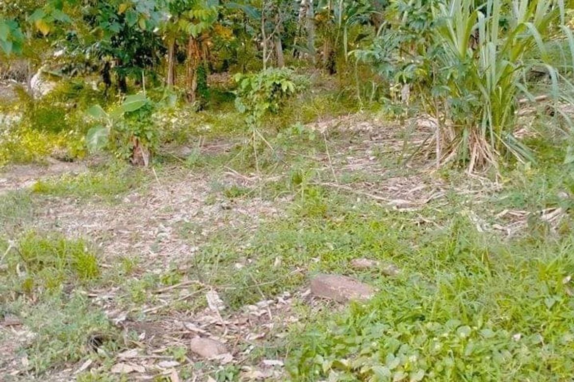Land for Sale in Tamugan, Davao City, Davao del Sur