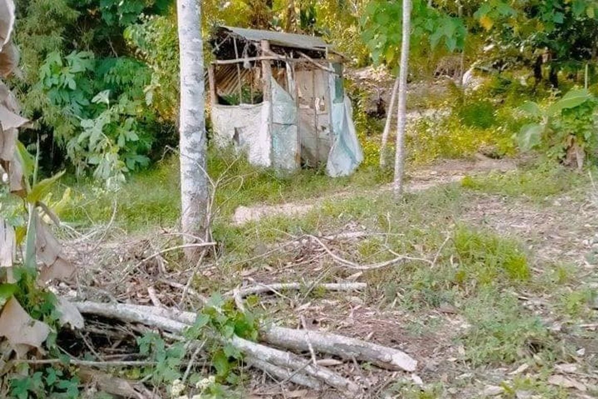 Land for Sale in Tamugan, Davao City, Davao del Sur – photo 2