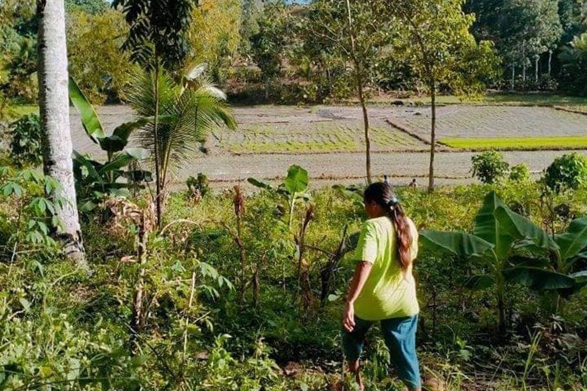Land for Sale in Tamugan, Davao City, Davao del Sur – photo 3