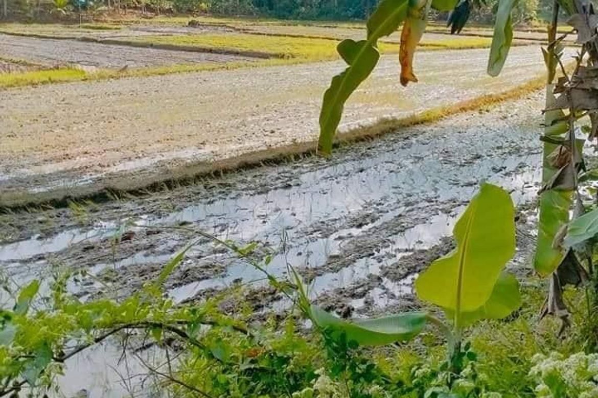 Land for Sale in Tamugan, Davao City, Davao del Sur – photo 4