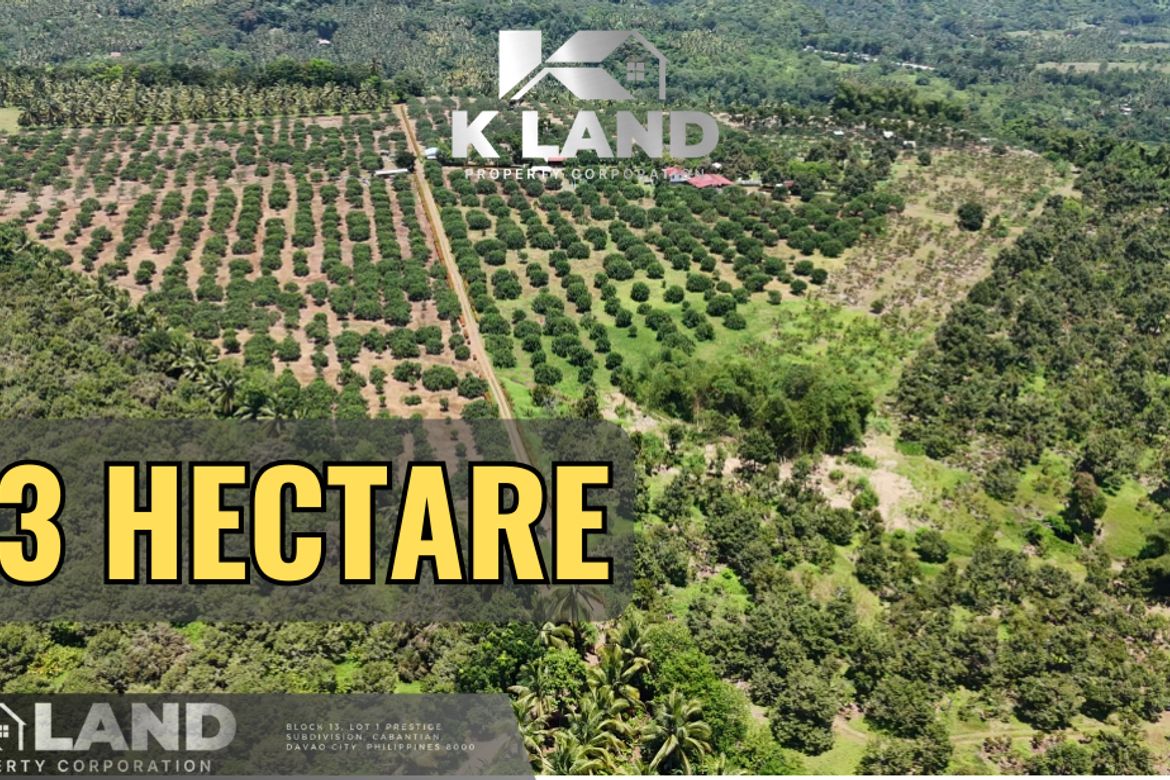 Land for Sale in Tamugan, Davao City, Davao del Sur
