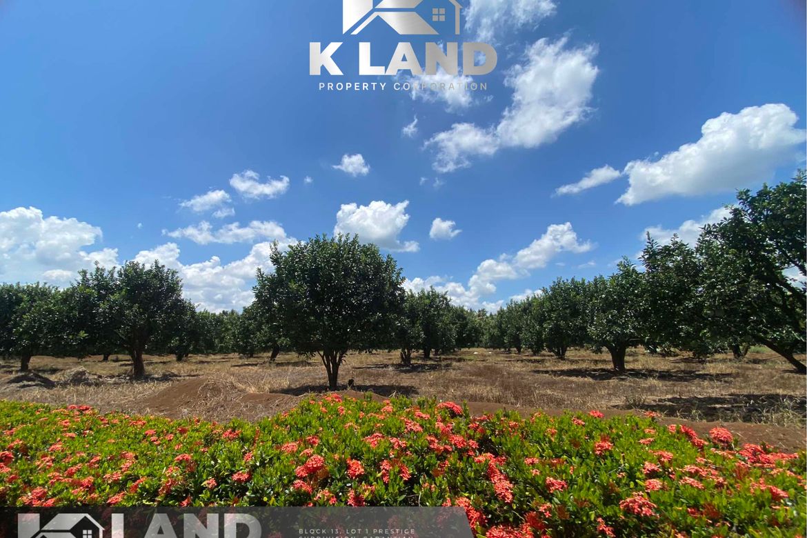 Land for Sale in Tamugan, Davao City, Davao del Sur – photo 2