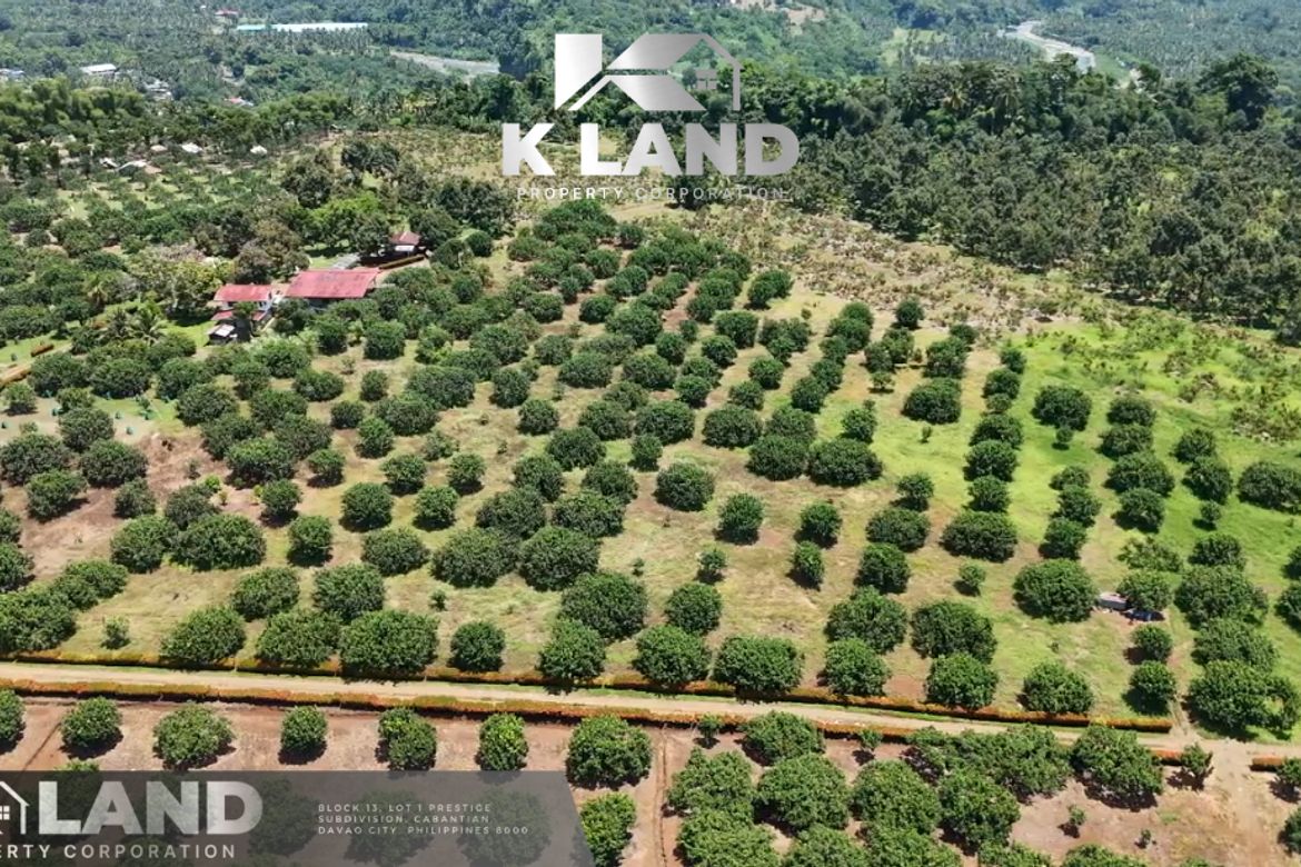 Land for Sale in Tamugan, Davao City, Davao del Sur – photo 5