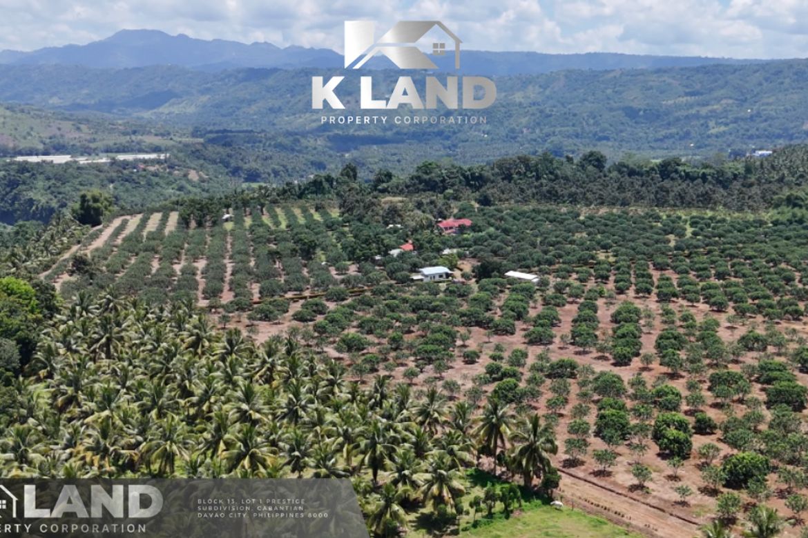 Land for Sale in Tamugan, Davao City, Davao del Sur – photo 6