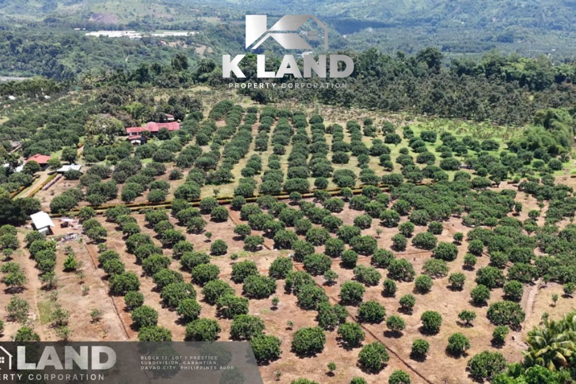 Land for Sale in Tamugan, Davao City, Davao del Sur – photo 7