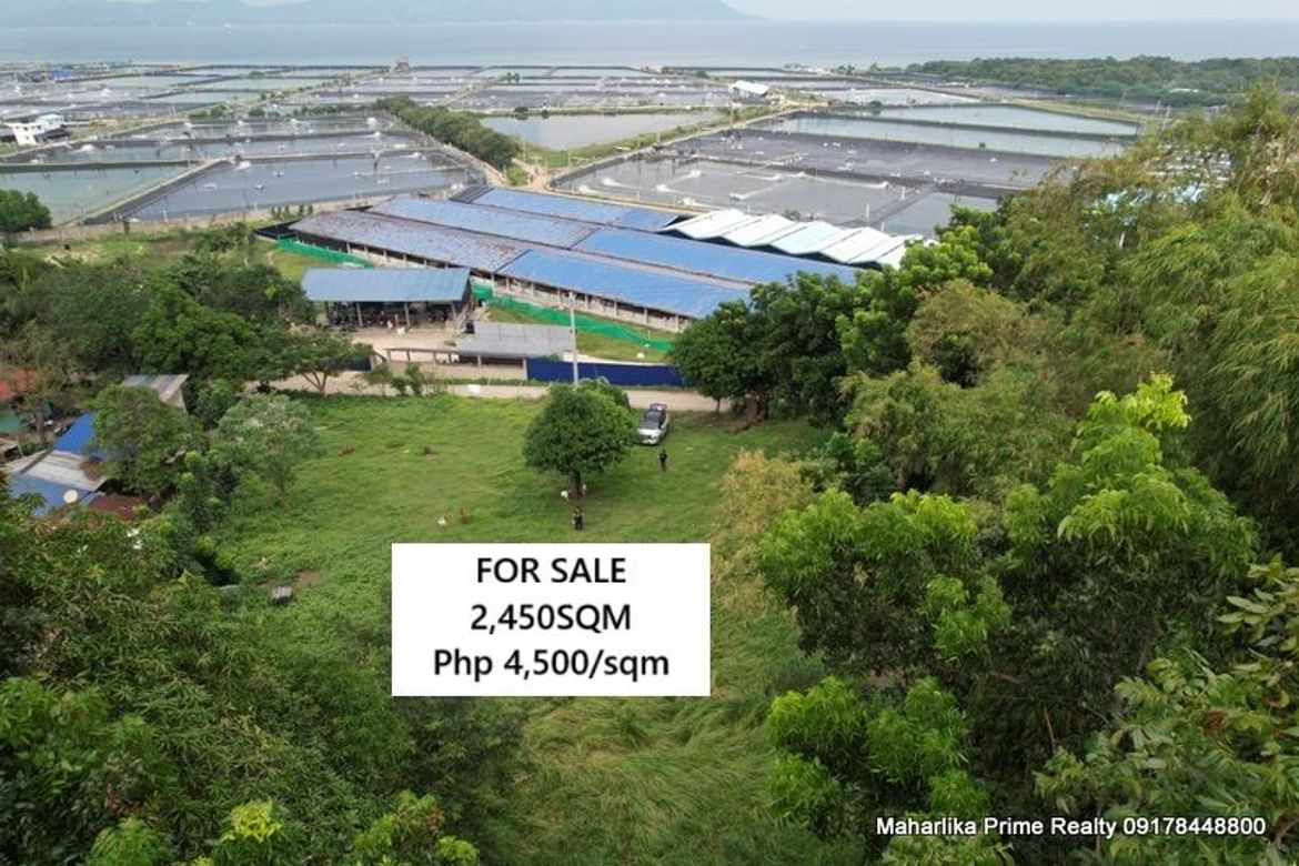 Land for Sale in Tanagan, Calatagan, Batangas