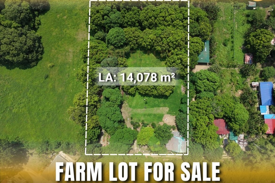 Land for Sale in Tanagan, Calatagan, Batangas
