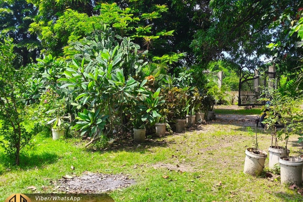 Land for Sale in Tanagan, Calatagan, Batangas – photo 4