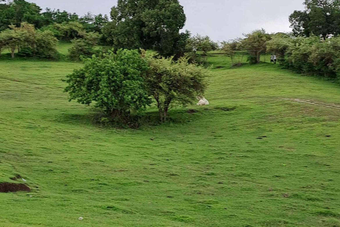 Land for Sale in Tanagan, Calatagan, Batangas – photo 3
