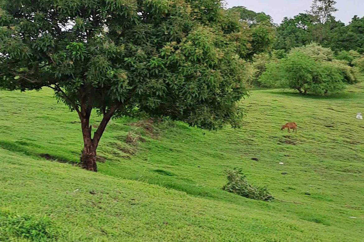 Land for Sale in Tanagan, Calatagan, Batangas – photo 4