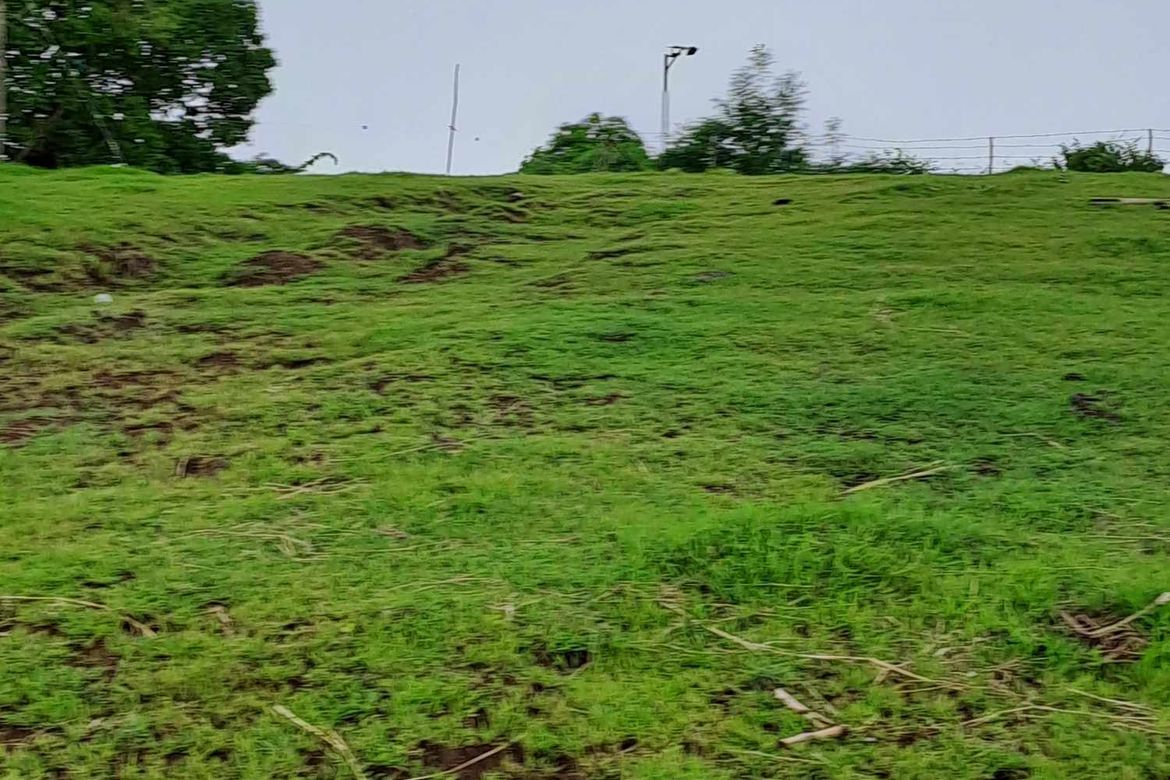 Land for Sale in Tanagan, Calatagan, Batangas – photo 5