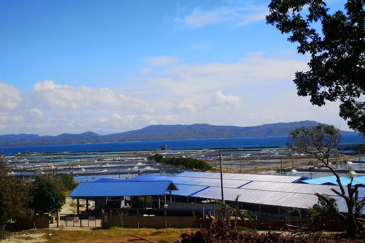 Land for Sale in Tanagan, Calatagan, Batangas