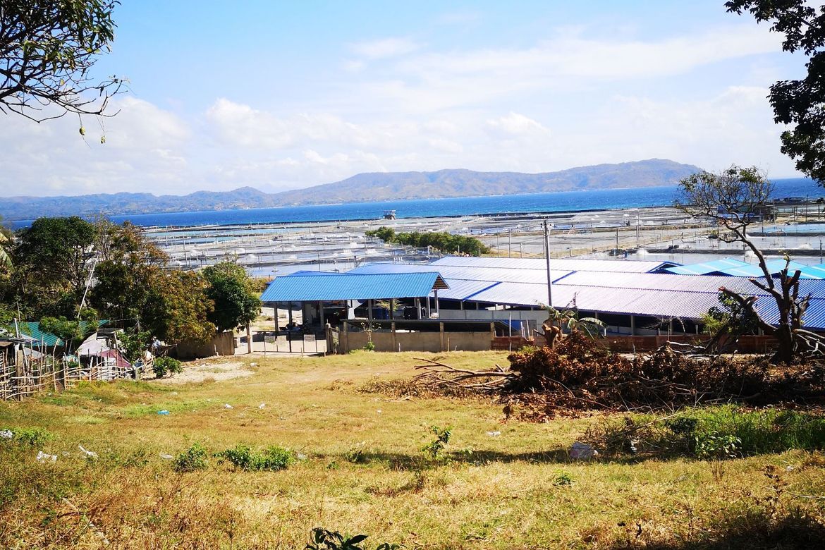 Land for Sale in Tanagan, Calatagan, Batangas – photo 2