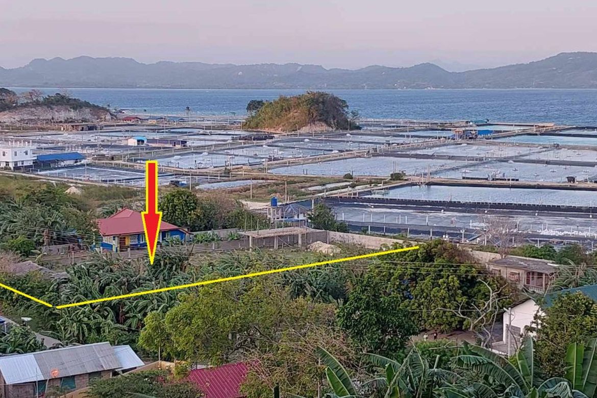 Land for Sale in Tanagan, Calatagan, Batangas – photo 3