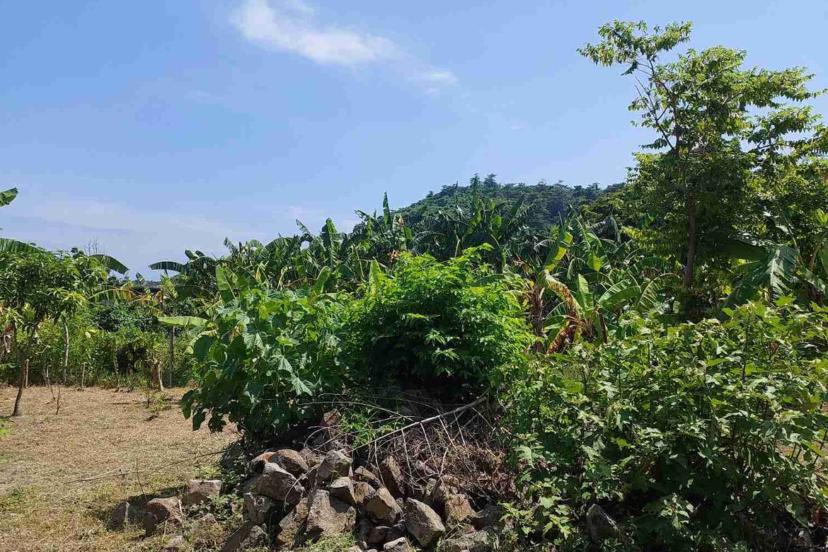 Land for Sale in Tanagan, Calatagan, Batangas – photo 8
