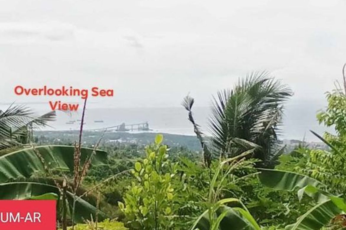 Land for Sale in Tananas, San Fernando, Cebu – photo 2