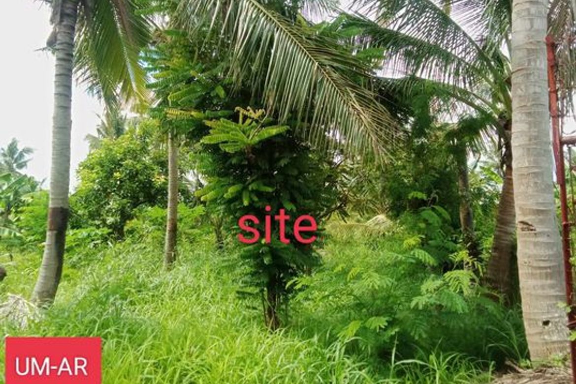 Land for Sale in Tananas, San Fernando, Cebu – photo 3