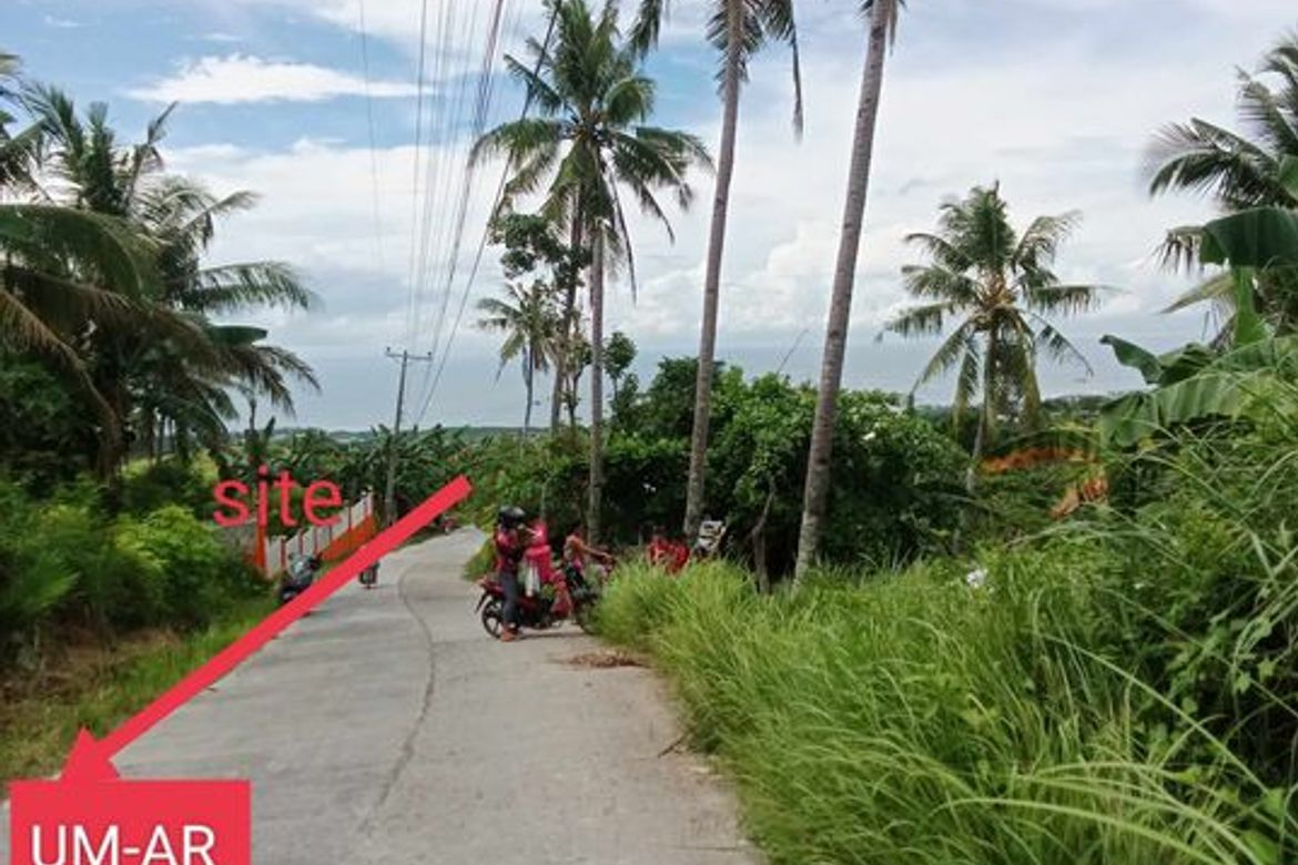 Land for Sale in Tananas, San Fernando, Cebu – photo 6