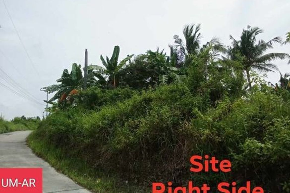 Land for Sale in Tananas, San Fernando, Cebu – photo 7