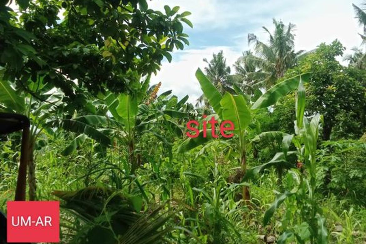 Land for Sale in Tananas, San Fernando, Cebu – photo 8