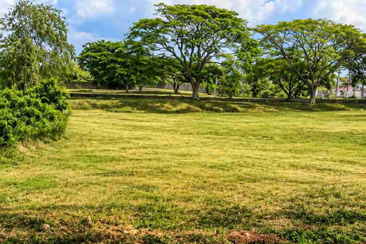 Land for Sale in Tanauan, Tanza, Cavite – photo 3