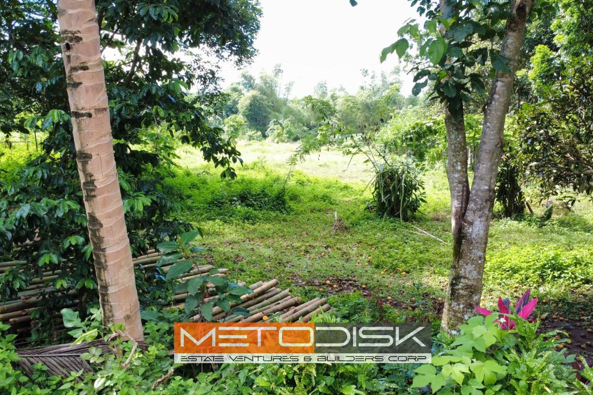 Land for Sale in Tanawan, Majayjay, Laguna – photo 2