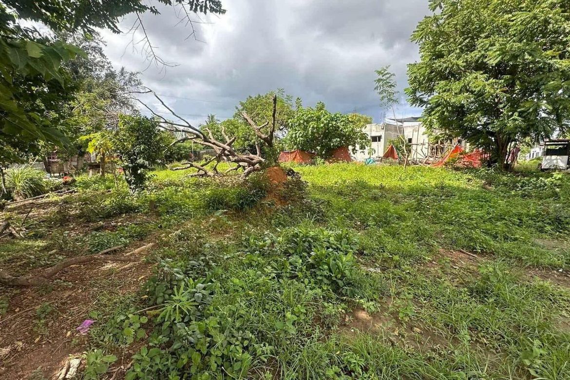 Land for Sale in Tanaytay, Alaminos, Pangasinan – photo 3