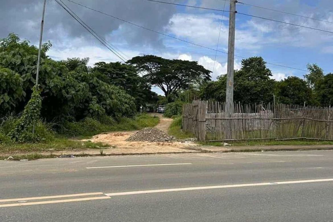 Land for Sale in Tanaytay, Alaminos, Pangasinan – photo 4