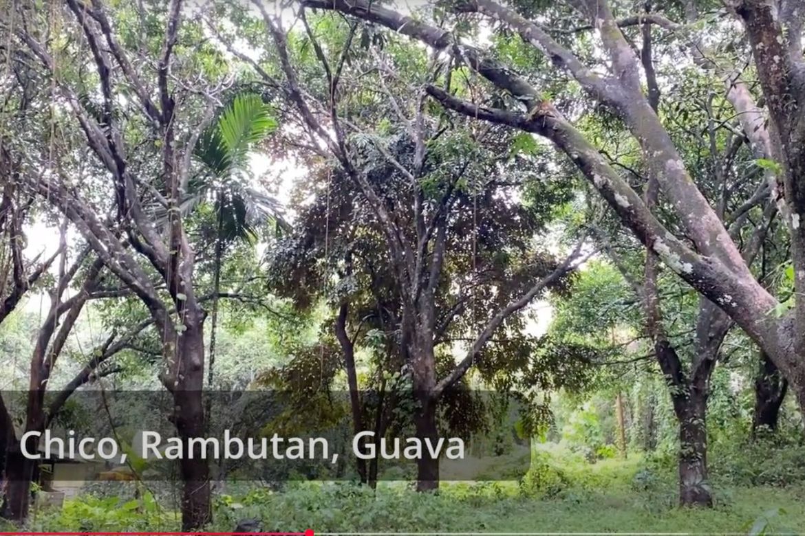 Land for Sale in Tandang Kutyo, Tanay, Rizal – photo 3