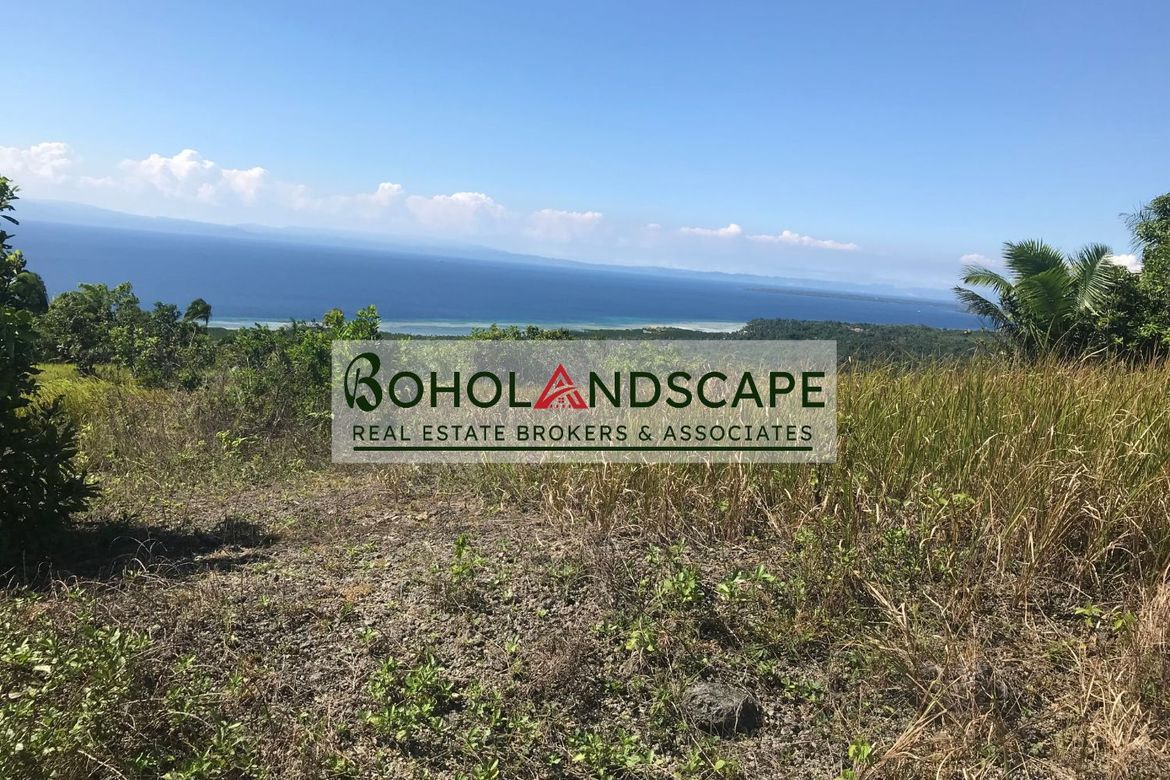 Land for Sale in Tangnan, Loon, Bohol