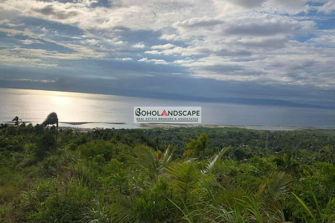 Land for Sale in Tangnan, Loon, Bohol – photo 2