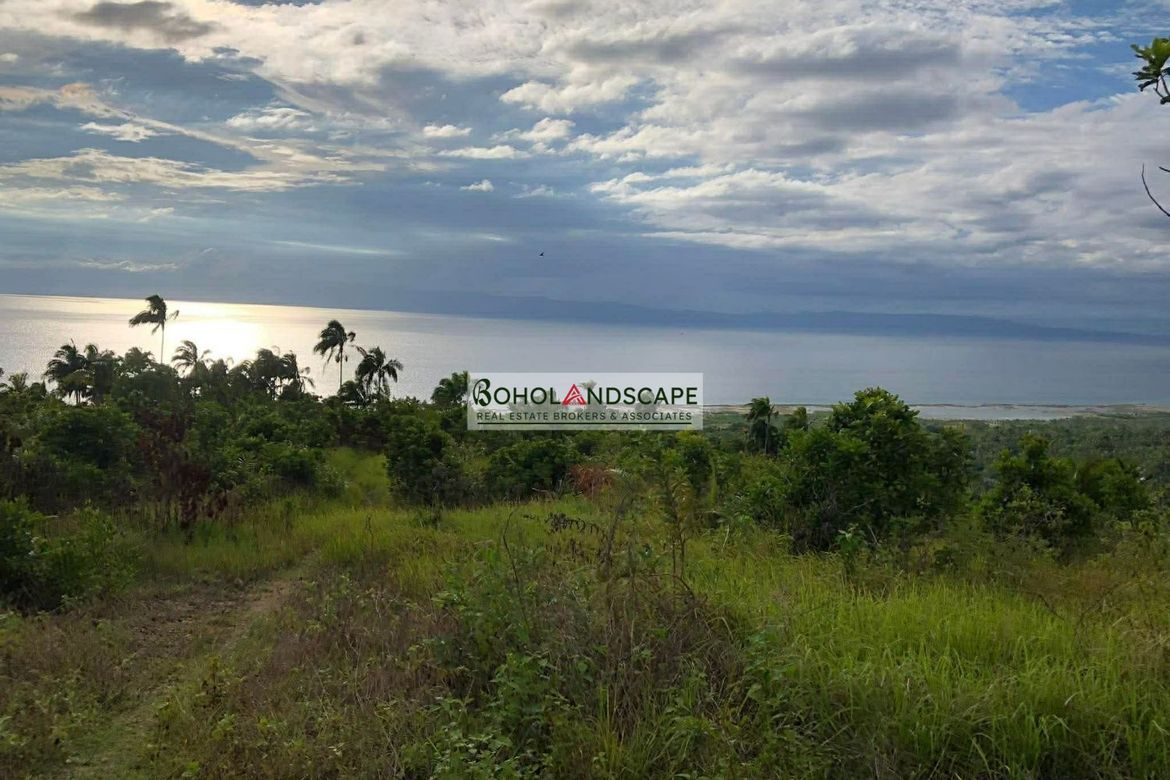 Land for Sale in Tangnan, Loon, Bohol – photo 3