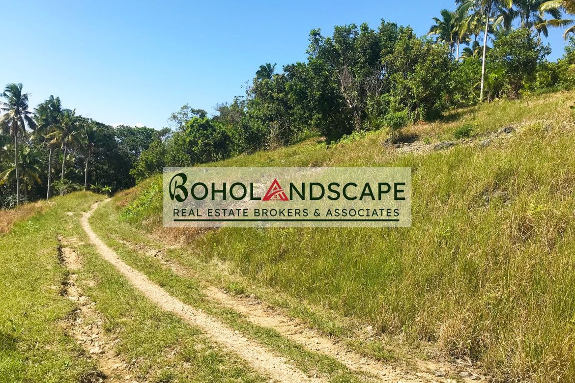 Land for Sale in Tangnan, Loon, Bohol – photo 5