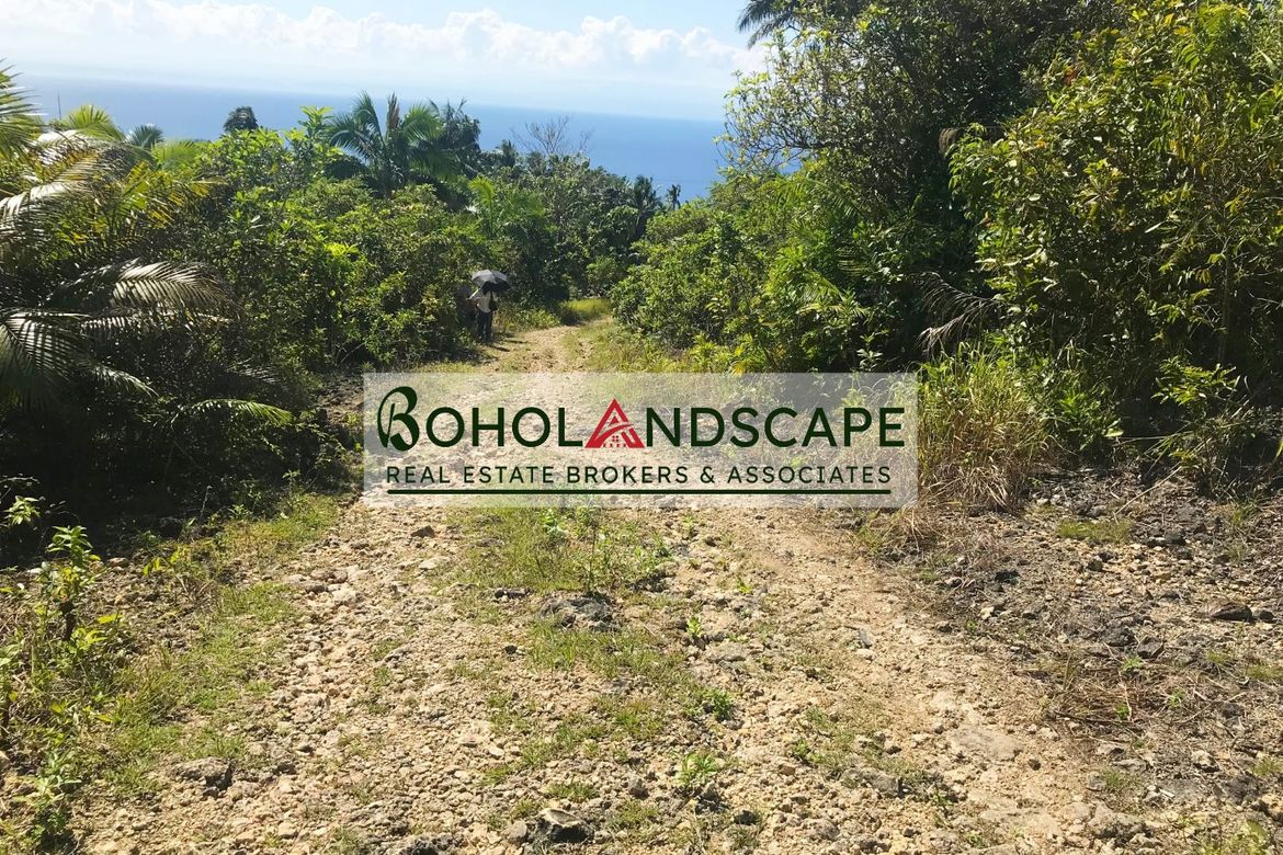 Land for Sale in Tangnan, Loon, Bohol – photo 6