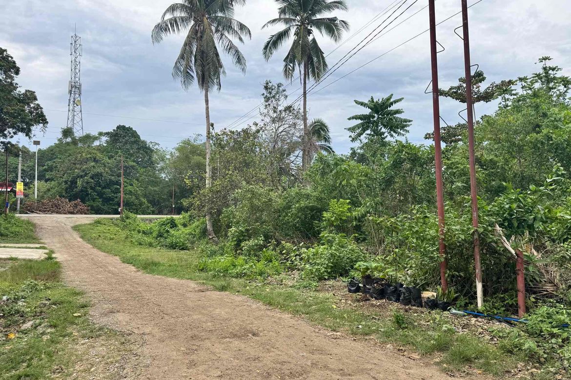 Land for Sale in Tangnan, Panglao, Bohol – photo 2