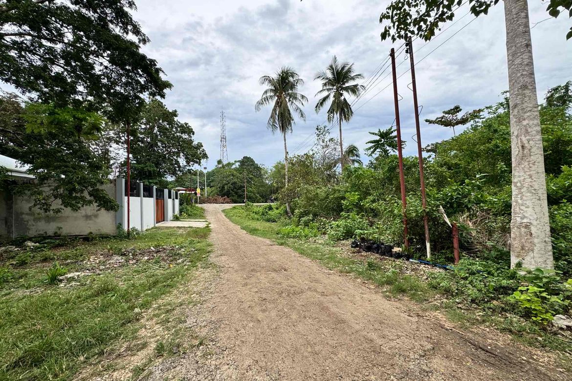 Land for Sale in Tangnan, Panglao, Bohol – photo 3