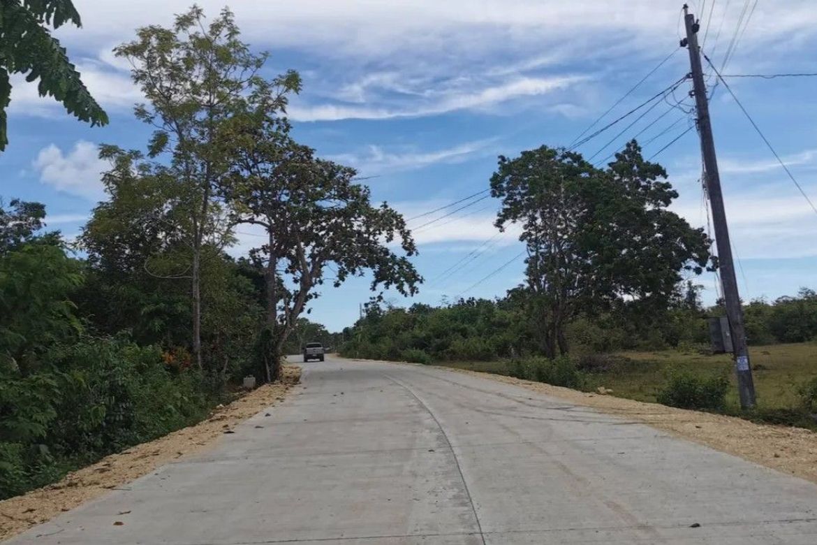 Land for Sale in Tangnan, Panglao, Bohol