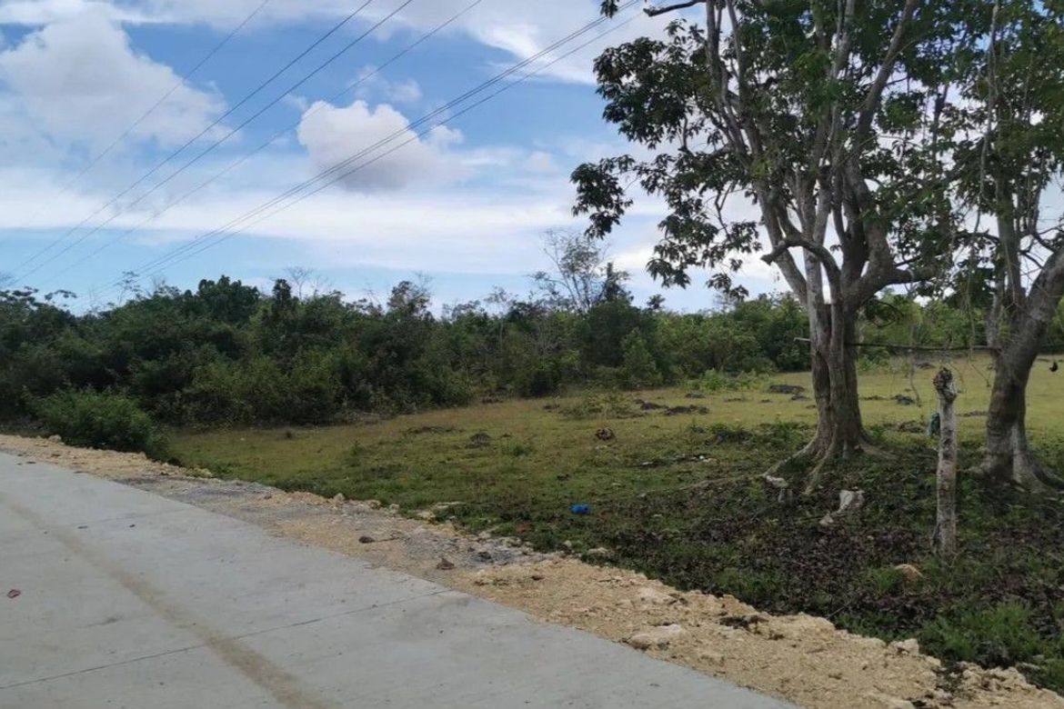 Land for Sale in Tangnan, Panglao, Bohol – photo 2