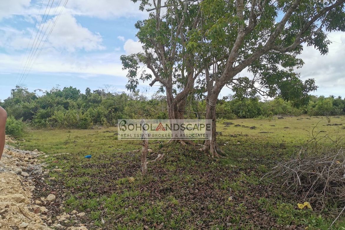 Land for Sale in Tangnan, Panglao, Bohol – photo 3